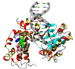 molecule